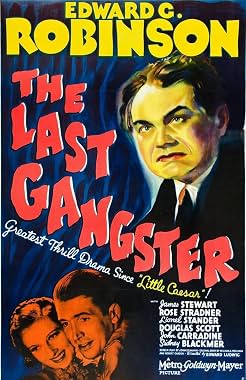 LugaTv | Watch The Last Gangster for free online