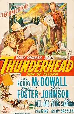 LugaTv | Watch Thunderhead Son of Flicka for free online