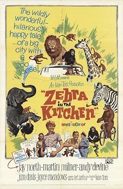 LugaTv | Watch Zebra in the Kitchen for free online