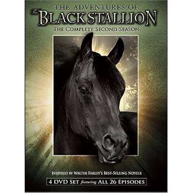 LugaTv | Watch The New Adventures of the Black Stallion seasons 1 - 3 for free online