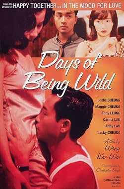 LugaTv | Watch Days of Being Wild for free online