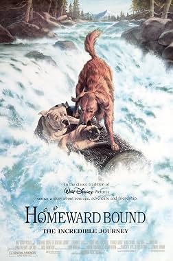 LugaTv | Watch Homeward Bound: The Incredible Journey for free online