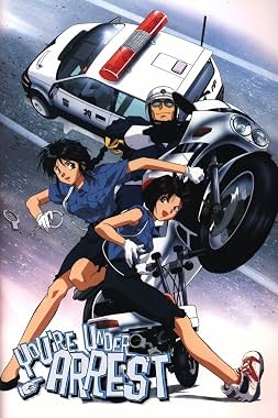 LugaTv | Watch You're Under Arrest! seasons 1 - 3 for free online