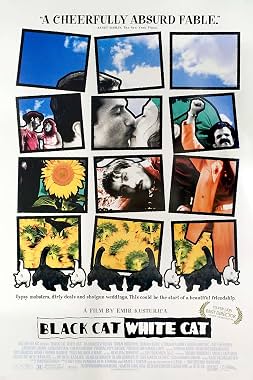 LugaTv | Watch Black Cat, White Cat for free online