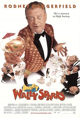 LugaTv | Watch Meet Wally Sparks for free online