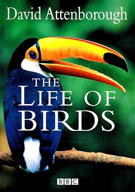 LugaTv | Watch The Life of Birds seasons 1 - 1 for free online