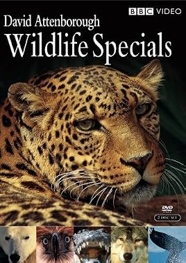 LugaTv | Watch Wildlife Specials seasons 1 - Unknown for free online