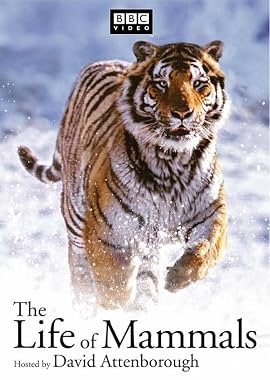 LugaTv | Watch The Life of Mammals seasons 1 - 1 for free online