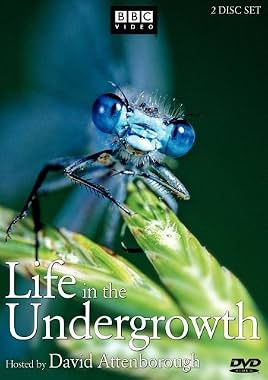 LugaTv | Watch Life in the Undergrowth seasons 1 - 1 for free online