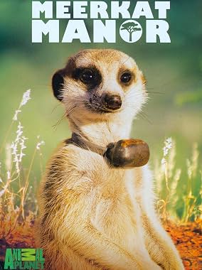 LugaTv | Watch Meerkat Manor seasons 1 - 4 for free online