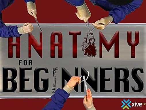 LugaTv | Watch Anatomy for Beginners seasons 1 - 3 for free online
