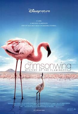 LugaTv | Watch The Crimson Wing Mystery of the Flamingos for free online