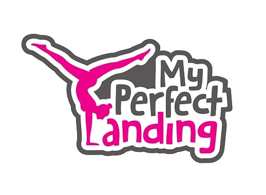 LugaTv | Watch My Perfect Landing seasons 1 - 1 for free online