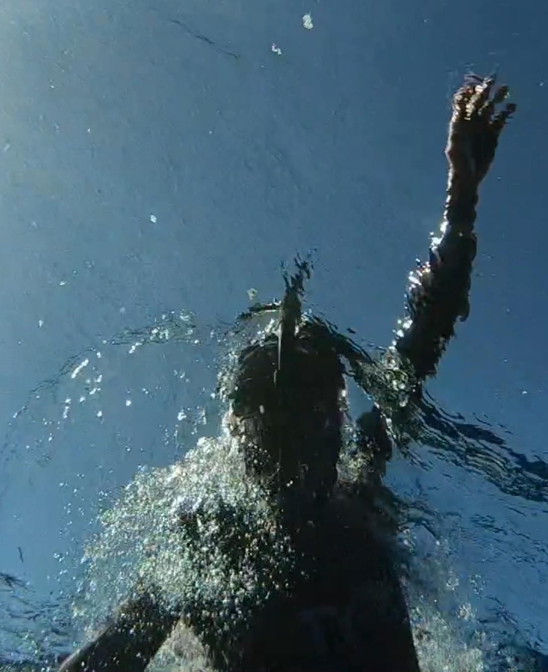 LugaTv | Watch The Swim for free online