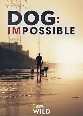 LugaTv | Watch Dog Impossible seasons 1 - 2 for free online