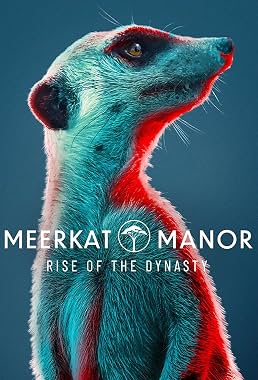 LugaTv | Watch Meerkat Manor Rise of the Dynasty seasons 1 - 1 for free online