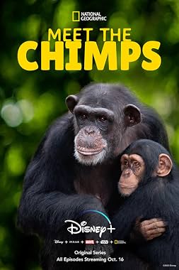 LugaTv | Watch Meet the Chimps seasons 1 - 1 for free online