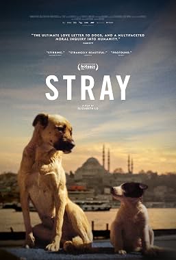 LugaTv | Watch Stray for free online