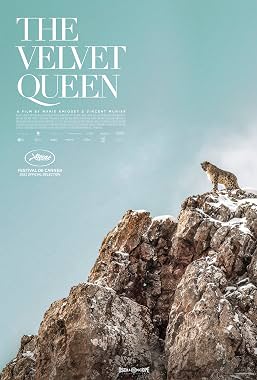 LugaTv | Watch The Velvet Queen for free online