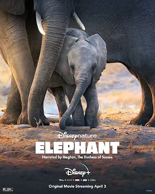 LugaTv | Watch Elephant for free online