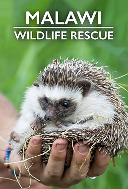 LugaTv | Watch Malawi Wildlife Rescue seasons 1 - 2 for free online
