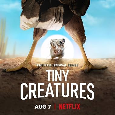 LugaTv | Watch Tiny Creatures seasons 1 - 1 for free online
