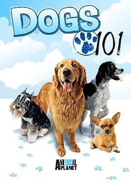 LugaTv | Watch Dogs 101 seasons 1 - 4 for free online