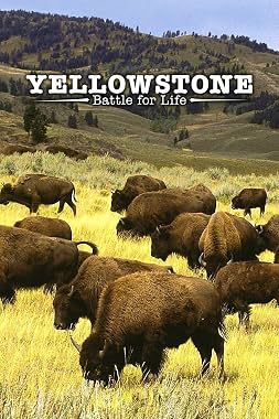 LugaTv | Watch Yellowstone seasons 1 - 1 for free online