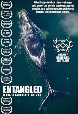 LugaTv | Watch Entangled The Race to Save Right Whales from Extinction for free online