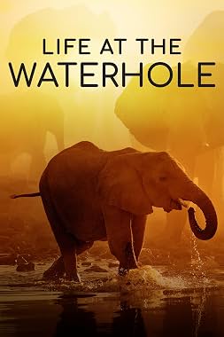 LugaTv | Watch Life at the Waterhole seasons 1 - 1 for free online
