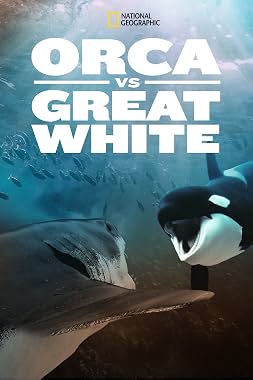 LugaTv | Watch Orca vs. Great White for free online