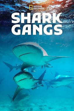 LugaTv | Watch Shark Gangs for free online