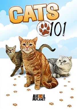 LugaTv | Watch Cats 101 seasons 1 - 4 for free online