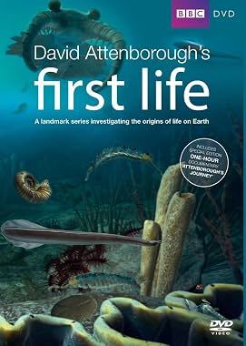 LugaTv | Watch First Life seasons 1 - 1 for free online