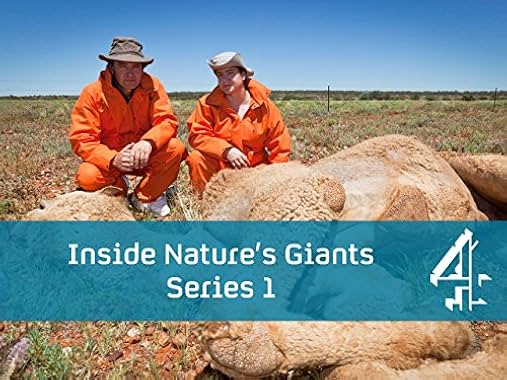 LugaTv | Watch Inside Natures Giants seasons 1 - 4 for free online