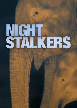 LugaTv | Watch Night Stalkers seasons 1 - 1 for free online