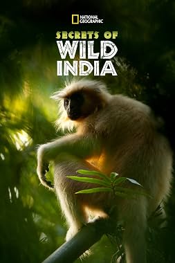 LugaTv | Watch Secrets of Wild India seasons 1 - 1 for free online