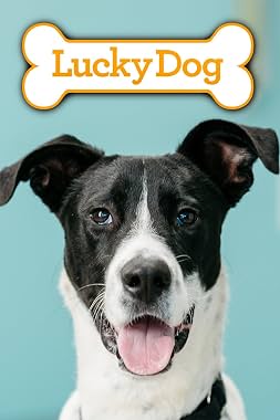 LugaTv | Watch Lucky Dog seasons 1 - 13 for free online