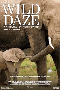 LugaTv | Watch Wild Daze for free online