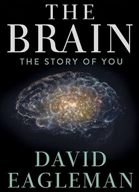 LugaTv | Watch The Brain with Dr. David Eagleman seasons 1 - 1 for free online