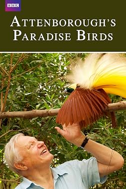 LugaTv | Watch Attenboroughs Paradise Birds for free online