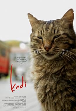 LugaTv | Watch Kedi for free online