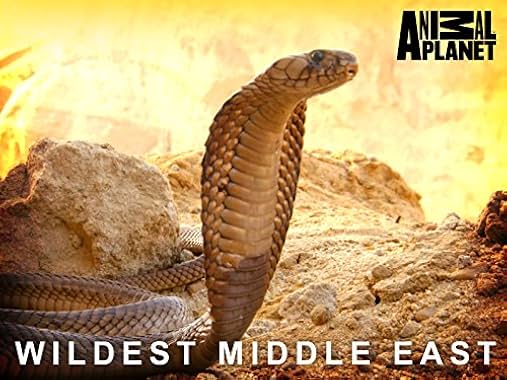 LugaTv | Watch Wildest Middle East seasons 1 - 1 for free online