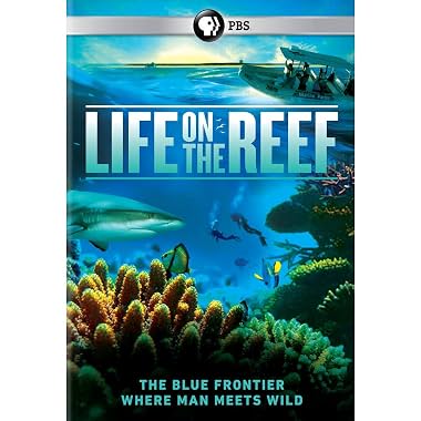 LugaTv | Watch Life on the Reef seasons 1 - 1 for free online