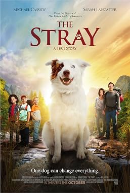 LugaTv | Watch The Stray for free online