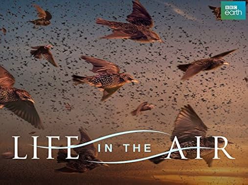 LugaTv | Watch Life in the Air seasons 1 - 1 for free online