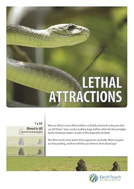 LugaTv | Watch Lethal Attractions for free online