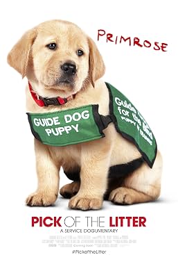 LugaTv | Watch Pick Of The Litter for free online