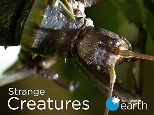 LugaTv | Watch Strange Creatures seasons 1 - 1 for free online