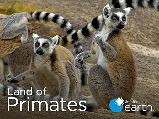 LugaTv | Watch Land of Primates seasons 1 - 1 for free online